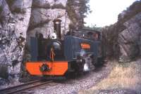 Scene on the Vale of Rheidol Railway in 1974 near Devils Bridge.<br><br>[Ian Dinmore //1974]