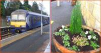 On the left a recent arrival stands at the buffer stops at Larkhall on 10 January 2013 ready to form the next service to Dalmuir. On the right is one of the 8 planters now located around the station as a result of the efforts of Machanhill Primary School, with advice from Goulding's Garden Centre.<br><br>[John Yellowlees 10/01/2013]