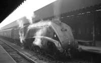 View from the concourse at Buchanan Street in the 1960s as 60009 <I>Union of South Africa</I> takes a well earned rest after recently bringing in one of the three hour services from Aberdeen.<br><br>[K A Gray //]