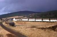 Stormy skies over Kielder in April 1964. Virtually the same location as the photograph taken 14 years earlier [see image 27306] although the rails have long gone and a terrace of new Forestry Commission houses has appeared.<br><br>[Frank Spaven Collection (Courtesy David Spaven) /04/1964]