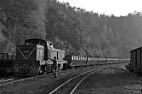 Banovici in eastern Bosnia, is on a small coalfield, where a 760mm gauge line connects mines with the standard gauge railhead at Oskova. B-B diesel hydraulic No 740 113 has brought coal into the sidings at Oskova late in the afternoon of 28th October 2011. Forty class 740s were built from 1968 to 1972, but closure of virtually all the Bosnian narrow gauge system meant that their useful life was short, except for a handful which were sold on, including one to the Zillertalbahn [see image 41805].<br><br>[Bill Jamieson 28/10/2011]