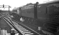 A4 Pacific no 60029 <I>Woodcock</I> is about to take the up 'Anglo-Scottish Car Carrier' round the curve from Newcastle Central onto the King Edward Bridge in the 1960s [see image 21127].<br><br>[K A Gray //]