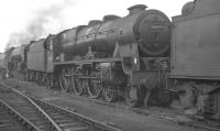 Stranger in the camp. A smart looking Saturday visitor to Gateshead on 6 October 1962 is Leeds Holbeck Royal Scot no 46109 <I>Royal Engineer</I>. The 'Scot' had only two more months of operational service remaining before withdrawal from 55A at the end of December. <br><br>[K A Gray 06/10/1962]