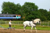 Ploughing the old way. West Runton, Norfolk, summer 2006.<br><br>[Ian Dinmore /08/2006]