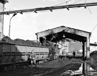 Although all line work on the Banovici coal railway in Bosnia is covered by diesels, steam still has a role to play in hauling wagons through the unloading point at Oskova washery - here the catches are being loosened prior to coal being discharged. Motive power is No. 83158, a Jugoslavian built 0-8-2 dating from 1948. The Banovici system acquired six of these locos from the JZ but only two are now active, with one in use while the other is under overhaul.<br><br>[Bill Jamieson 25/10/2011]