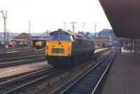 D1016 <I>Western Gladiator</I> photographed alongside Temple Meads station in 1972. In the background stands the busy Bath Road shed with typical Western Region motive power from that time. [See image 42207] for a modern day view of the same location. <br><br>[Mark Bartlett //1972]