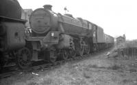 Black 5 no 45016 in the sidings alongside Ayr shed on 10 April 1966. It was officially withdrawn from 67C less than 3 months later and cut up at Arnott Young, Troon, by the end of the year.<br><br>[K A Gray 10/04/1966]