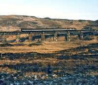 An unidentified class 37 in Transrail Freight livery takes the Euston to Fort William sleeper over the viaduct just north of Rannoch station on a crystal clear but bitingly cold February morning in 1996. The photographer had just alighted from the train and was grateful for the freezing conditions which made progress easy over the normally boggy terrain hereabouts.<br><br>[Bill Jamieson 01/02/1996]