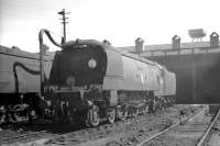 Bulleid 'Battle of Britain' Pacific no 34069 <I>Hawkinge</I> photographed in the shed yard at Exmouth Junction on 17 August 1961. [Railscot note: RAF Hawkinge, located near the Channel Tunnel, was the closest WWII operational airfield to France and saw intense activity during the Battle of Britain. The site is now a housing development.] <br><br>[K A Gray 17/08/1961]