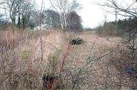 View east along the single platform at Kilconquhar looking towards Elie in 1996. Opened by the East of Fife Railway in 1857 this was the terminus of the line for a while. Kilconquhar station finally closed in September 1965.<br><br>[Ewan Crawford //1996]