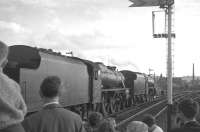 Black Fives 44871+44781 at Blackburn with the BR <I>'Fifteen Guinea Special'</I> on its way back from Carlisle to Manchester and Liverpool on 11 August 1968. The special was advertised by BR as <I>the final standard gauge main line passenger train to be hauled by a steam locomotive on British Rail</I> (the BR main line 'steam ban' came into force the following day). [See image 26044] <br><br>[K A Gray 11/08/1968]