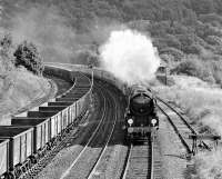 Heading for Shrewsbury, rebuilt Merchant Navy No. 35028 <i>Clan Line</i> is running through sylvan surroundings as it passes Grindleford with 'The Strongbow Express' on 15 September 1979.<br><br>[Bill Jamieson 15/09/1979]