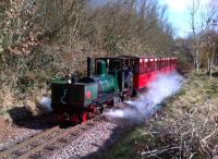 The 15 inch Perrygrove Railway is designed to entertain children; so I usually enjoy a visit! Their Tasmanian-built Beyer-Garratt No. 3 is here seen approaching the top station (Oakiron) on the reverse S-shaped layout. The smart red coaches were built by Alan Keef Ltd., not too far away at Lea Line.<br><br>[Ken Strachan 31/03/2013]