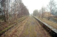 Looking west along the platforms at Coupar Angus in 1997, approximately 30 years after closure to passengers. The line from Stanley Junction to Forfar closed completely in 1982.<br><br>[Ewan Crawford //1997]