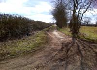 The ironstone railways feeding the short-lived (46 years) Corby steelworks were lightly laid and left little trace after their passing. My c1980 OS map shows a railway here, along the farm track, and a second line in a cutting to the right now infilled and grassed over. There is no trace of a level crossing beneath my feet, but a couple of broken arch bricks bore witness to the former bridge to my right. Stewarts and Lloyds feeder lines<br><br>[Ken Strachan 05/04/2013]