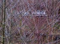 Suddenly it's 1970 - but Virgil Exner is nowhere to be seen. Despite many signs being stolen, and others being removed to Collectors' Corner, this kind of back-to-nature look must have been quite common on abandoned lines in the late 1960's. Newnham Bridge station was used as a garden centre until about 2007, but is now abandoned; so its obscuration by trees has been delayed by some 45 years. View looks North in an unusually cold April 2013. [see image 42646]<br><br>[Ken Strachan 07/04/2013]