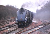 60009 <I>Union of South Africa</I> with 61994 <I>The Great Marquess</I> and two support coaches nearing Dalmeny on 11 April with a York NRM - Thornton Yard move in preparation for railtour activity later in the month.<br>
<br><br>[Bill Roberton 11/04/2013]