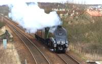 A4 60009 <I>Union Of South Africa</I> having left Thornton Depot for Bo'ness with service coaches on 20th April 2013 is here seen approaching Cardenden.<br><br>[Brian Forbes 20/04/2013]