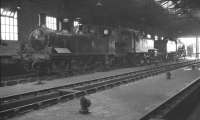 Inside Plymouth Friary shed (73D) on 10 August 1960. On the left is Adams Class O2 0-4-4T no 30183. <br><br>[K A Gray 10/08/1960]