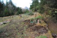 Tree felling at Invergarry station, April 2013.<br>
<br><br>[Ewan Crawford 24/04/2013]