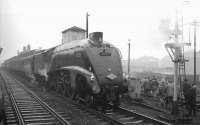 Photostop at an overcast Wigan North Western on 25 November 1967 featuring the MRTS <i>Mancunian</i> (aka the <i>Lancs & Yorks Rambler</i>). The special ran from Leeds City behind A4 Pacific no 60019 <I>Bittern</I>. <br><br>[K A Gray 25/11/1967]