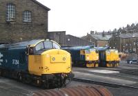 Lineup in the yard at Haworth on 28 April during the Keighley and Worth Valley Railway Railway Diesel Gala Weekend. From left to right are 37264, 26038 and 25059.<br><br>[Colin Alexander 28/04/2013]
