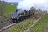 A4 60009 <I>Union of South Africa</I> heading home to Thornton Depot after working an excursion from York to Edinburgh, nearing Dalgety Bay on 4 May.<br><br>[Bill Roberton 04/05/2013]