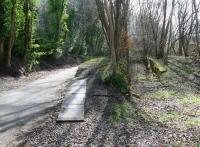 The western approach to Auchendinny station in April 2013. The trackbed (now a walkway) passes the remains of the platform on the left, while the former goods yard stood over to the right, with a loading bay occupying the area in between. Part of the surviving station house can just be seen through the trees in the right background alongside the exit road [see image 45194].<br><br>[John Furnevel 20/04/2013]