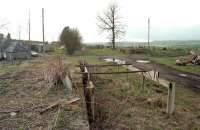 Station remains at Rutherford, between St Boswells and Roxburgh, in 1998. Rutherford station closed to passengers in 1964 and the line back to Kelso Junction 4 years later. This photograph is taken from the loading bank and looks west. The two passengers platforms are in the distance, the timber of the eastbound one is visible.<br><br>[Ewan Crawford //1998]