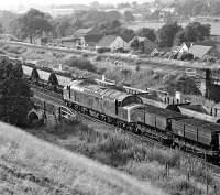 Coal wagons of different vintages pass at Heaton Lodge to the west of Mirfield on a summer's evening in 1983. On the down slow line is an empty rake of HAA hoppers returning from Fiddler's Ferry PS to the Yorkshire coalfleld, while nearer the camera, EE Type 4 40024 <I>Laconia</I> takes a train of loaded vacuum braked HTV type hoppers westwards.<br><br>[Bill Jamieson 22/07/1983]
