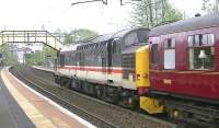 Ian Riley InterCity liveried 37518 brings up the rear of the Carnforth - Fort William <I>Jacobite</I> stock move through Westerton on 10 May 2013. [See image 43090]<br><br>[Ken Browne 10/05/2013]