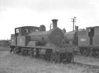 One of the elegant Adams 4-4-2 radial tanks, no 30584, built at the Dubs & Co Queens Park Works, Glasgow, in 1885. The locomotive is seen in the sidings at Eastleigh in the summer of 1961, having been withdrawn from Exmouth Junction in January that year. 30584 was cut up here 4 months after this photograph was taken.<br><br>[K A Gray 13/08/1961]