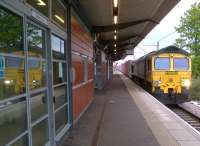 Business as usual: this is the weekday evening (18.30) Freightliner which passes Nuneaton's platform 7 (as shown) unless it is diverted past platform 6 to allow the sand train to access the North Chord (Tu Th only) [see image 42951]. It arrives from the Birmingham direction, and leaves on the WCML. 66564 is in charge on 17 May. Network Rail - reinstated Leicester-Birmingham flyover line<br><br>[Ken Strachan 17/05/2013]