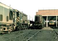 Locomotives and multiple units stabled in the yard at Chester diesel depot during a pleasant Sunday morning on 14 June 1970. BR Sulzer Type 2 no 5041 stands nearest the camera.<br><br>[John Furnevel 14/06/1970]