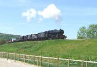 LMS 8F 2-8-0 no 8274 departing Winchcombe for Toddington with a freight train on 26 May 2013.<br><br>[Peter Todd 26/05/2013]