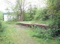 Remains of the 1883 station at Rushey Platt, Swindon, in May 2013. The 4-platform station stood at the south end of the spur linking the GWR with the MSWJ. Closed to passengers in 1905 the station continued to handle goods traffic (mainly milk) well into the 1960s, with the line closing completely in 1975. Much of the site is now covered by an industrial estate.<br><br>[Peter Todd 21/05/2013]