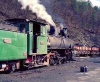 83159 at Oskova sidings in March 2013, waiting to take the loaded wagons in the background to the washery. The wagons are braked for the trip from the mine but during the unloading process depend solely on the brake power of the loco for stopping - presumably it makes the frequent stopping and starting easier - and steam is preferred for this, although on occasions the diesel which brought in the wagons was seen to take them through the unloading shed.<br><br>[Bill Jamieson 12/03/2013]