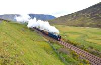 On a cold, wet and miserable morning A1 Pacific 60163 is approximately forty minutes late as it climbs the gradient north of Dalnaspidal on the way to Druimuachdair Summit with <I>The Cathedrals Express</I>. Needless to say, by the time it arrived I was also cold, wet and miserable...<br><br>[John Gray 15/06/2013]