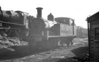 Shed scene at Plymouth Friary in August 1961. In the foreground is Adams O2 0-4-4T no 30193. [See image 42737] [With thanks to Messrs Anderson, Prestonian, Pesterfield and Petrie]<br><br>[K A Gray 17/08/1961]