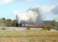 Preserved 8F No. 48151 skirts the marshy ground fringing Morecambe Bay between Grange-over-Sands and Kents Bank with the Green Express Railtours <I>Steam Along the Cumbrian Coast</I> tour of 13th April 2002 - this train ran between Skipton and Ravenglass, the 8F doing the honours from Carnforth.<br><br>[Bill Jamieson 13/04/2002]