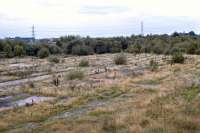 Thirty years after closure to steam, the site of Lostock Hall shed was just starting to turn into a nature reserve in 1998, complete demolition having taken place relatively recently following a number of years in use as a wagon repair facility.<br><br>[Bill Jamieson 02/10/1998]