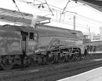 On the odd occasion when an A4 visits Carlisle it somehow seems out of place and one has to remind oneself that they were regular visitors off the Waverley Route until the early 1960s. In fact, take away the OHL and <I>Union of South Africa</I> could just about be waiting to take the down Waverley away from platform 3 instead of just having arrived with <I>The Hadrian</I> charter from York via Newcastle.<br><br>[Bill Jamieson 27/10/2012]