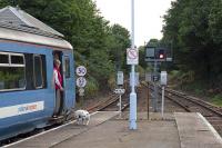 A dog ponders its bodily needs while passengers and crew wait patiently. Such was the sense of urgency on the Bittern Line at Cromer on 24th August 2010.<br><br>[Mark Dufton 24/08/2010]