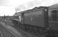 A4 Pacific 60029 <I>Woodcock</I> runs north through Doncaster on 21 July 1962 with the 7.51am Holloway - Edinburgh Waverley <I>Anglo-Scottish Car Carrier</I>.<br><br>[K A Gray 21/07/1962]