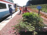 A warm day at Whitrope siding, home of the Waverley Route Heritage Association, during an ICE visit on 6 July 2013. [See image 29713]<br><br>[John Yellowlees 06/07/2013]