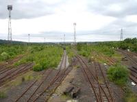 A likely candidate for the next national forest in the making. The east end of Healey Mills yard in June 2013, with only one track kept free of vegetation.<br><br>[David Pesterfield 30/06/2013]
