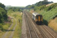 Northern 156464 on a Blackpool North to Manchester Victoria service heads east towards Kirkham on 27 July. In the left background is the hazy outline of Blackpool Tower, which overlooks the site of the former Blackpool Central station. The direct line to Central was on the left here and ran through the hillside in front of the tower in a cutting. In the undergrowth on the left rails from the former engineers tip still survive.<br><br>[John McIntyre 27/07/2013]