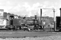 The GWR green livery of Vale of Rheidol No. 8 <I>Llywelyn</I> lasted five years before it was changed to Cambrian Railways <I>invisible green</I> (black to you and me!), applied for the 1986 season. The nameplates were removed and the tanks sides lettered CAMBRIAN (the Cambrian Railways had taken over the Vale of Rheidol Railway in 1913 although of course No. 8 post-dates this period). The loco is standing in front of the shed at Aberystwyth in October 1988.<br><br>[Bill Jamieson 27/10/1988]