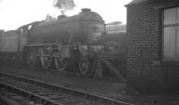 A regular on the Waverley route, Gresley K3 2-6-0 no 61916, stands in the shed yard at Carlisle Canal in February 1961. One of the depot's A3 Pacifics is stabled on the adjacent road.<br><br>[K A Gray 10/02/1961]