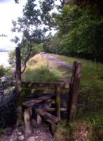 This charming, but short (half mile) footpath heads for the former Milnthorpe viaduct from Sandside, and is North of the footpath around the shoreline starting from Arnside. It is accessed from the B5282 opposite the Shoreline Business Park. [See image 11855]<br><br>[Ken Strachan 29/07/2013]